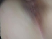 Levrette qui claque 3/16