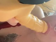 Can I suck your cock? 16/16