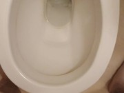 Piss in toilet 1/16