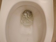 Piss in toilet 10/16