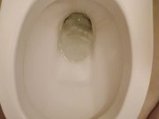 Piss in toilet 11/16