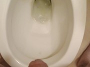 Piss in toilet 13/16