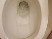 Piss in toilet 5/16