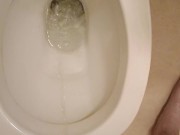 Piss in toilet 6/16