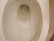 Piss in toilet 8/16