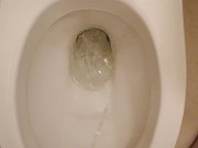 Piss in toilet 9/16