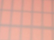 Le vlog quotidien de Luna 4/16