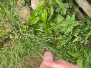 Hairy dick peeing in nature 11/16