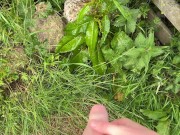 Hairy dick peeing in nature 13/16