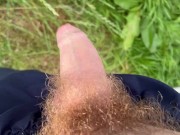 Hairy dick peeing in nature 14/16
