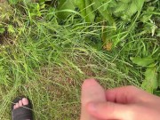 Hairy dick peeing in nature 6/16
