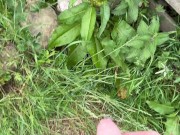 Hairy dick peeing in nature 7/16