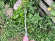 Hairy dick peeing in nature 9/16