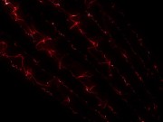 Cheating Rachel Steele Takes over 16/16