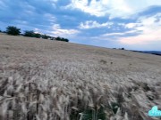 Blowjob in wheat field she take a cum in mouth 15/16