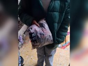 MI EX vino por sus cosas... y  la termino convenciendo de coger por última vez😈🔥 1/16