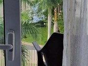 Enjoy the view 15/16