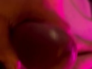 Dick play today 14/16