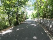 Walking in the Pattaya Jungle! Thailand 10/16