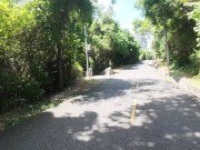 Walking in the Pattaya Jungle! Thailand 11/16