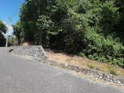 Walking in the Pattaya Jungle! Thailand 12/16