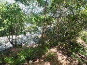 Walking in the Pattaya Jungle! Thailand 14/16