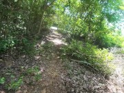Walking in the Pattaya Jungle! Thailand 16/16