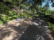 Walking in the Pattaya Jungle! Thailand 3/16