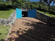 Walking in the Pattaya Jungle! Thailand 4/16