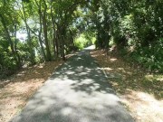 Walking in the Pattaya Jungle! Thailand 5/16