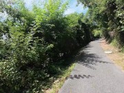 Walking in the Pattaya Jungle! Thailand 6/16