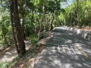 Walking in the Pattaya Jungle! Thailand 7/16