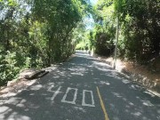 Walking in the Pattaya Jungle! Thailand