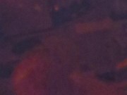 Alone in the dark 15/16