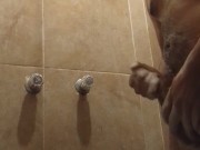 Un pajaso en el baño 11/16